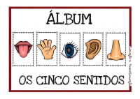 Cinco Sentidos jogo.pdf